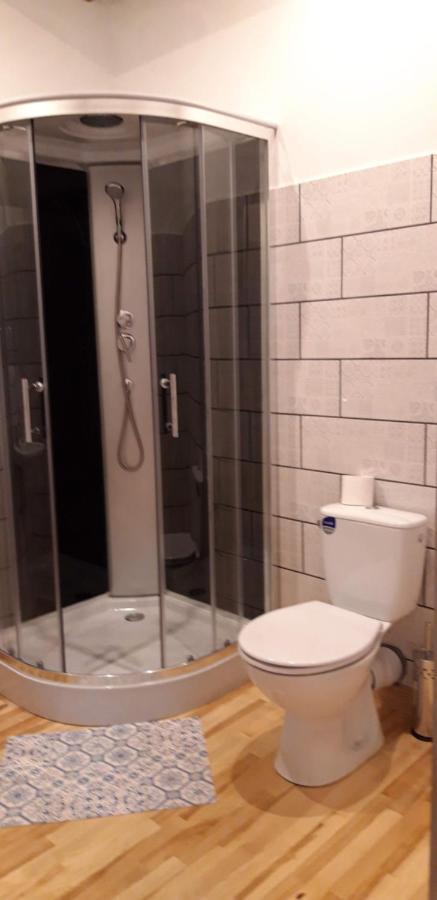 Hotel Metras Maja à Aizpute Extérieur photo
